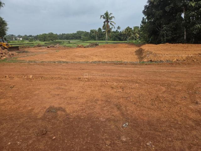 Land for sale in Cochin, Kerala
