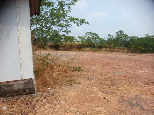 Land for sale in Cochin, Kerala