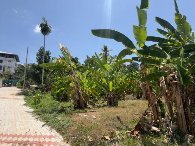 Land for sale in Cochin, Kerala