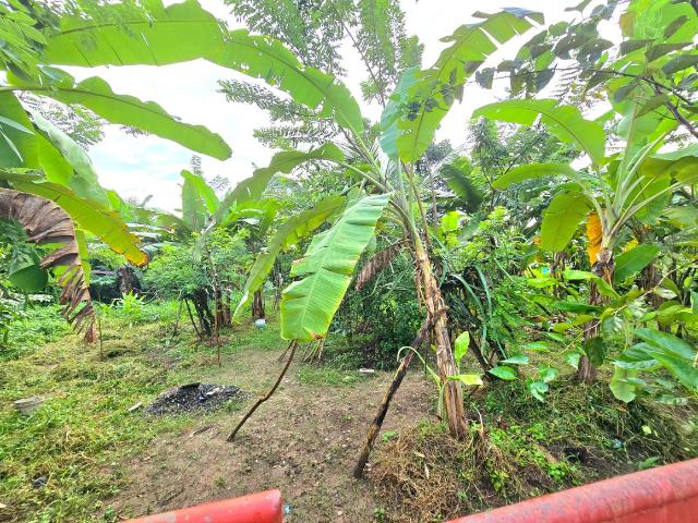 Land for sale in Cochin, Kerala