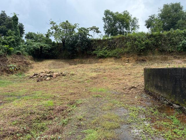 Land for sale in Cochin, Kerala