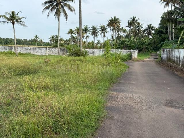Land for sale in Cochin, Kerala