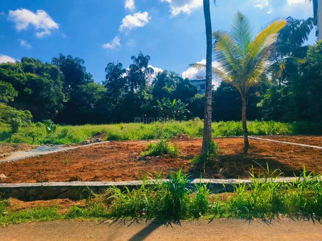 Land for sale in Nilampathinjamugal, Ernakulam