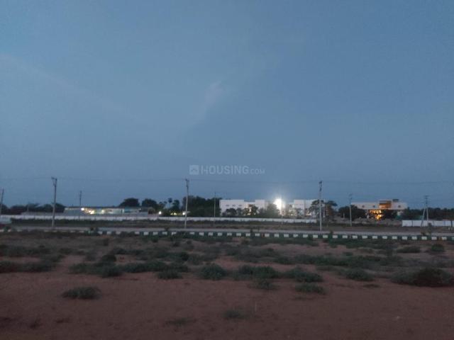 Land for sale in Potti, Andhra Pradesh