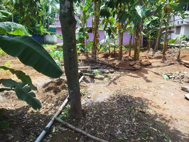 Land for sale in Kaladi, Kerala
