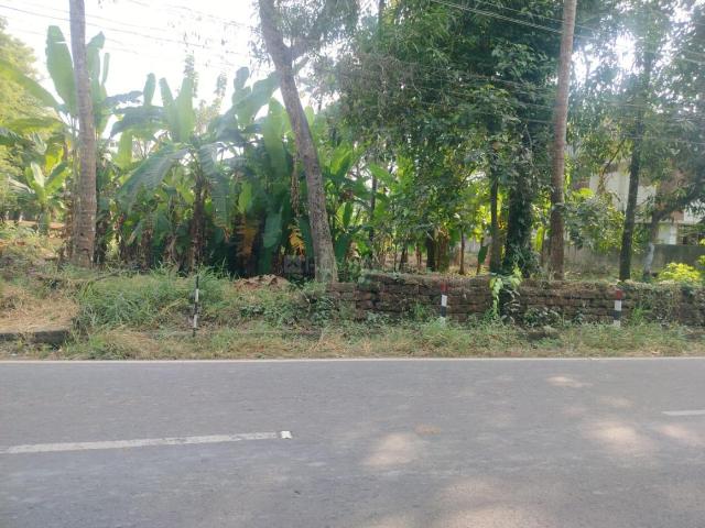 Land for sale in Kerala