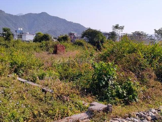 Land for sale in Kedarpur, Uttarakhand