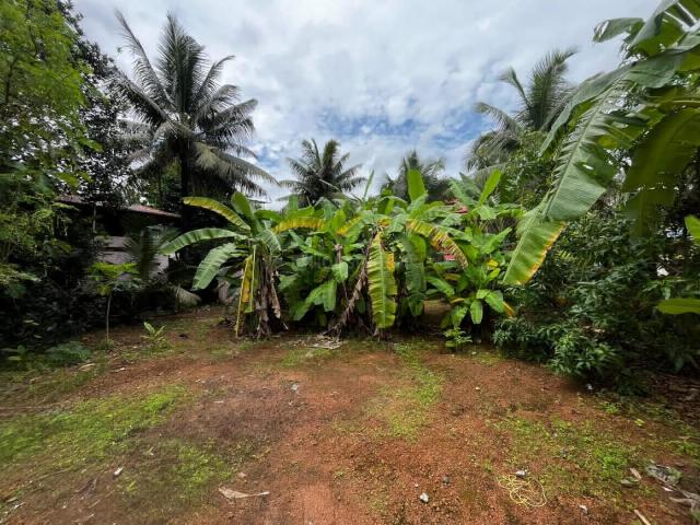 Land for sale in Kerala