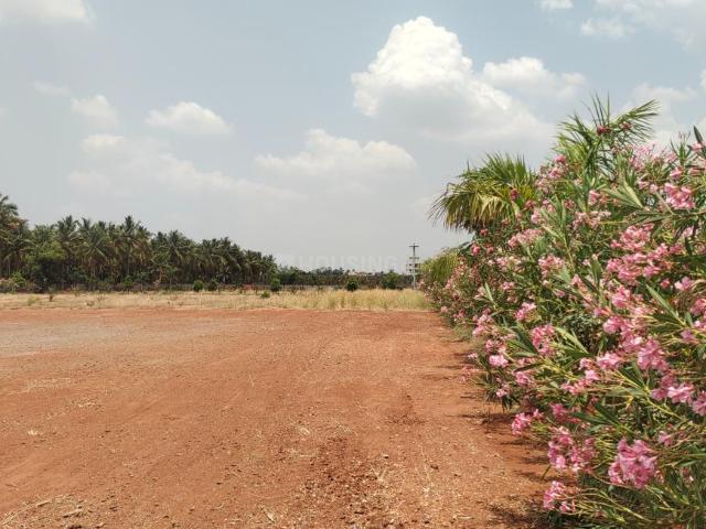 Land for sale in Kalapatti, Coimbatore