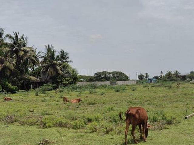 Land for sale in Sadras, Kalpakkam