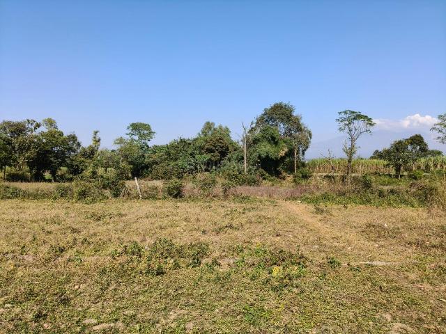 Land for sale in Shekhonwala, Uttarakhand