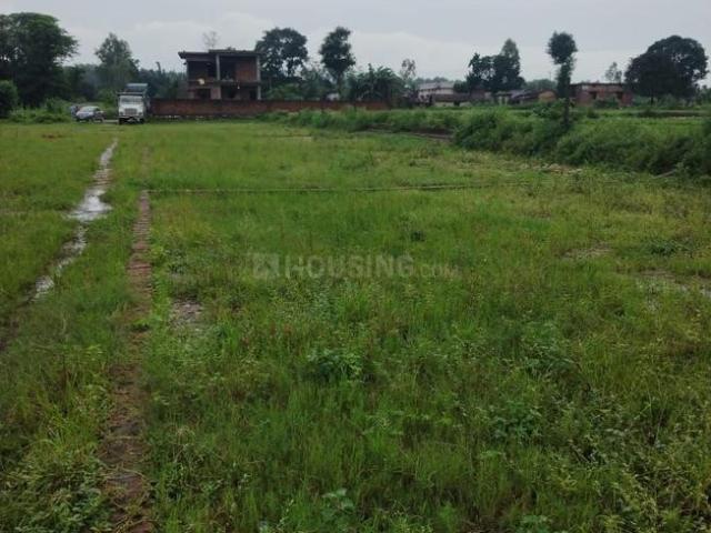 Land for sale in Shekhonwala, Uttarakhand