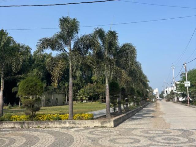 Land for sale in Madya