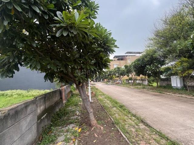 Land for sale in Madya