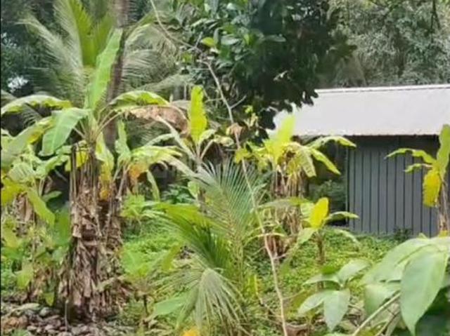 Land for sale in Thrissur, Kerala