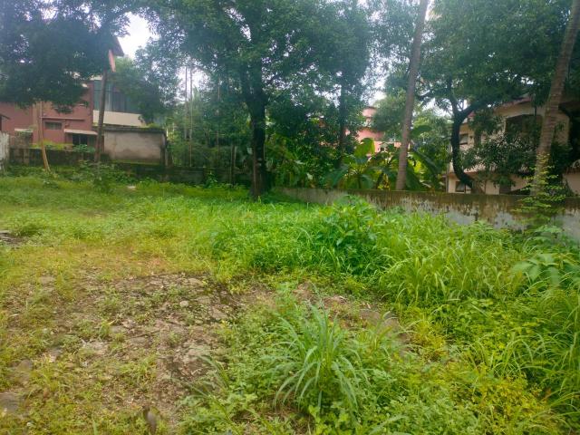 Land for sale in Thrissur, Kerala