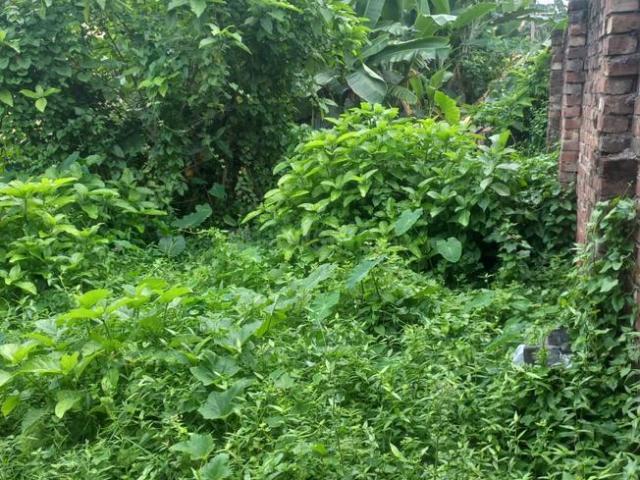 Land for sale in North 24 Parganas, Naihati