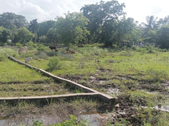 Land for sale in Raipur, Chhattisgarh