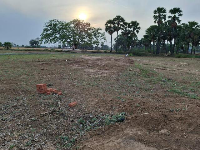 Land for sale in Bihar