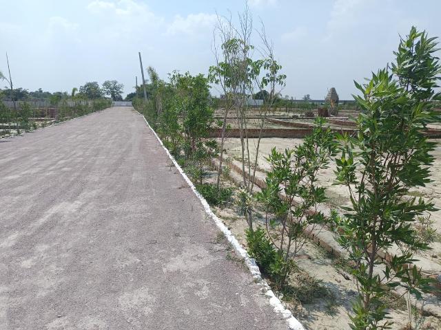 Land for sale in Mohanlalganj, Arunachal Pradesh