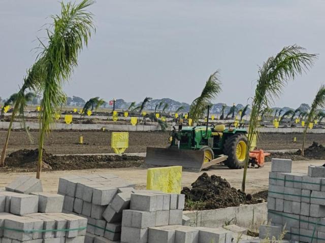 Land for sale in Kankipadu, Andhra Pradesh
