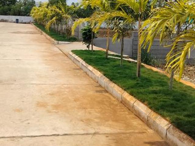 Land for sale in Kankipadu, Andhra Pradesh