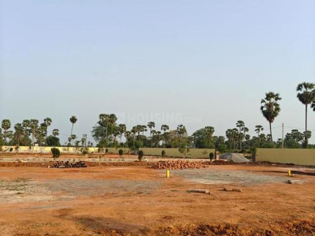 Land for sale in Kankipadu, Andhra Pradesh