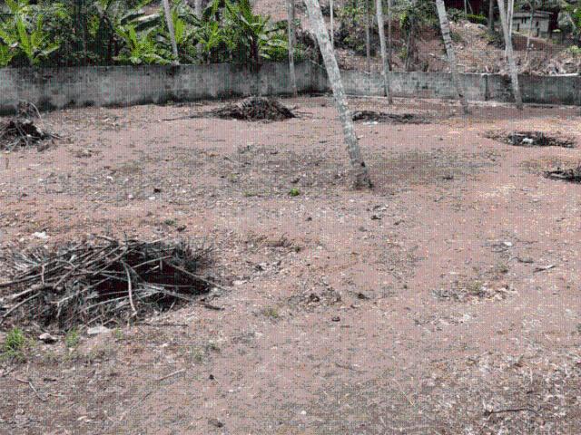 Land for sale in Karakulam, Thiruvananthapuram