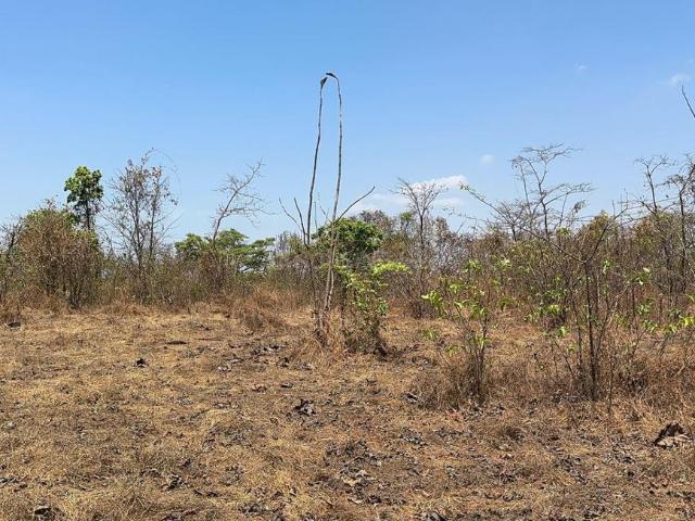 Land for sale in Jambhulpada, National Capital Territory Of Delhi