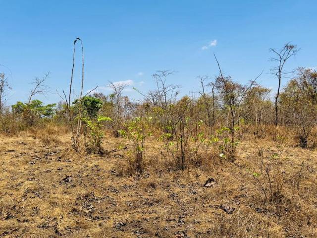 Land for sale in Jambhulpada, National Capital Territory Of Delhi