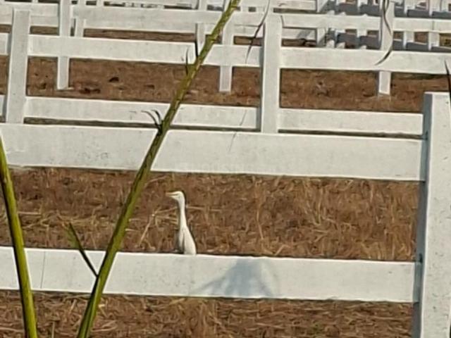 Land for sale in Karjat, National Capital Territory Of Delhi