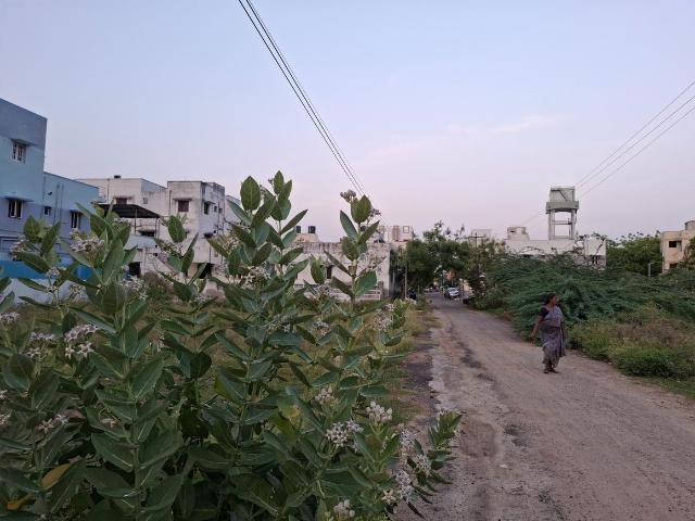 Land for sale in Tiruchirappalli, Tamil Nadu