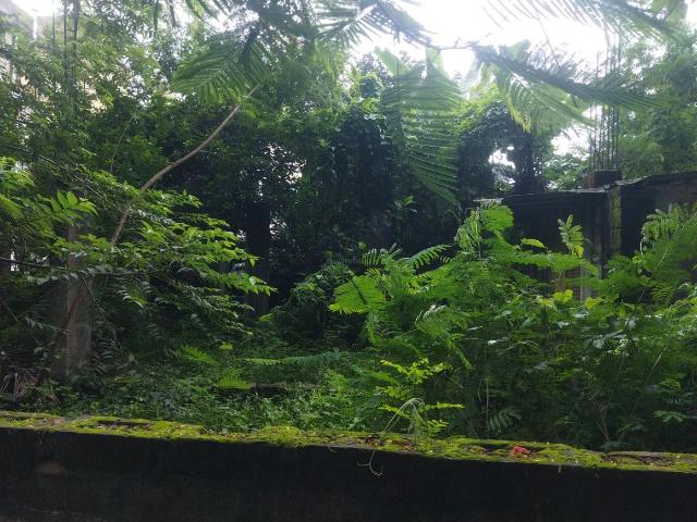 Land for sale in Calcutta, West Bengal
