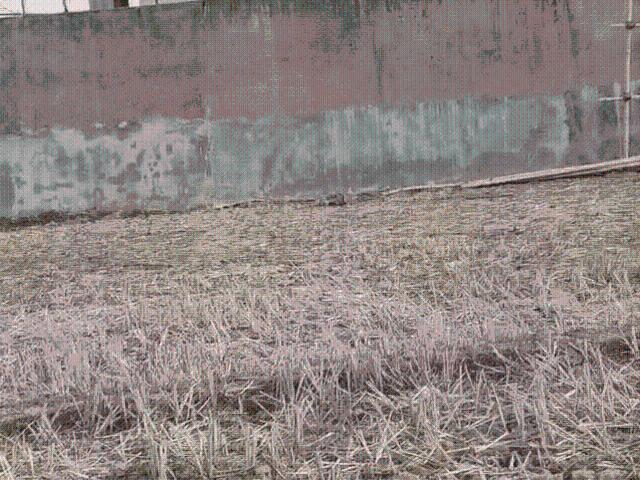 Land for sale in Nagri, Jharkhand