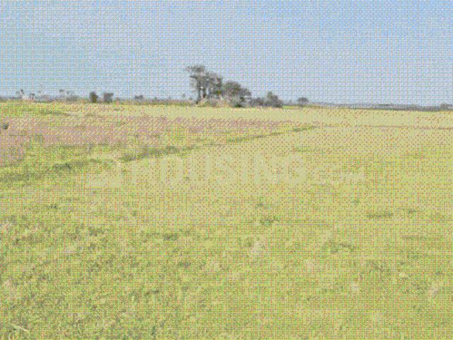 Land for sale in Katwa, West Bengal