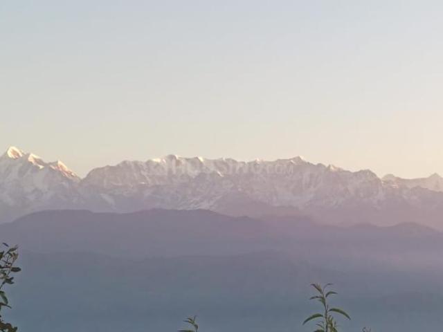 Land for sale in Someshwar, Uttarakhand