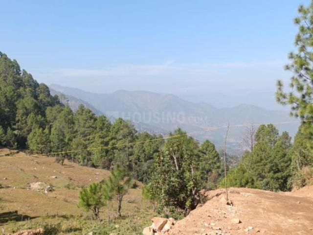 Land for sale in Chhani, Lwesal