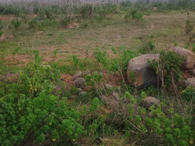 Land for sale in Bangalore South, Cox Town - Bangalore