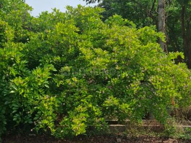 Land for sale in Bangalore South, Cox Town - Bangalore