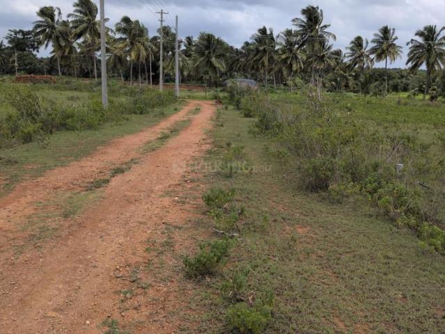 Land for sale in Karnataka