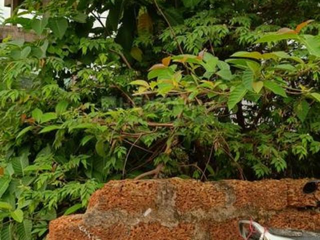 Land for sale in Bhubaneshwar