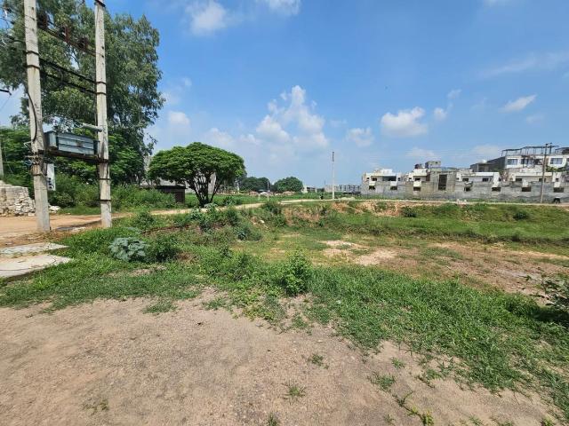 Land for sale in Punjab