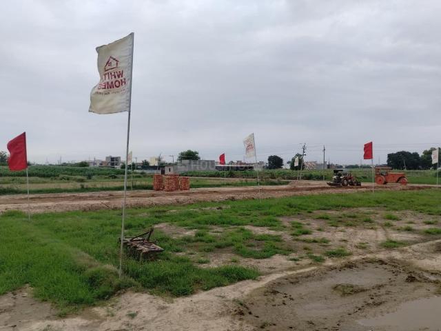 Land for sale in Harlalpur, Sahibzada Ajit Singh Nagar