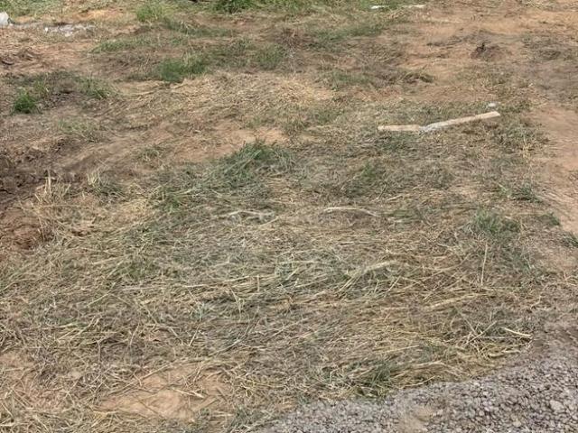 Land for sale in Harlalpur, Sahibzada Ajit Singh Nagar