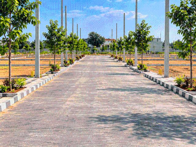 Land for sale in Khatoo, Sikar