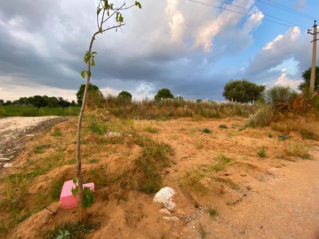 Land for sale in Khatoo, Sikar
