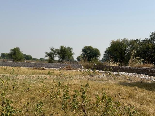 Land for sale in Khatoo, Sikar