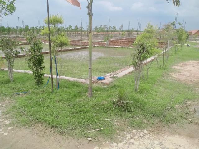 Land for sale in Mohanlalganj, Arunachal Pradesh