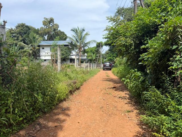 Land for sale in Thrissur, Kerala