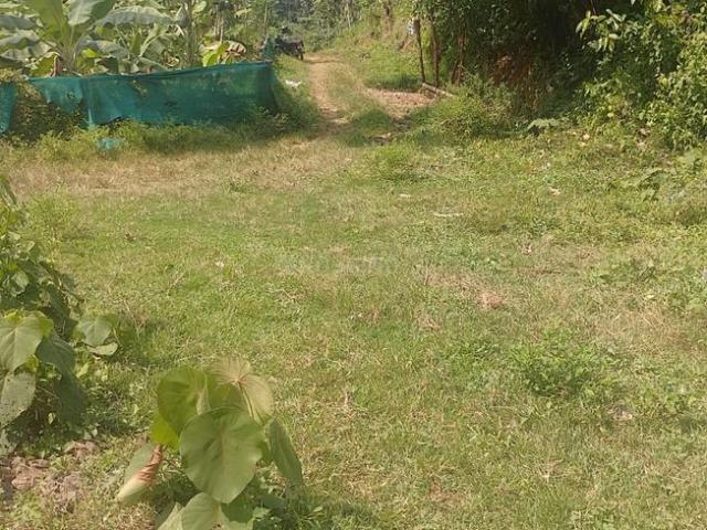 Land for sale in Thrissur